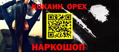 гашик Моздок