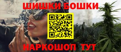гашик Моздок